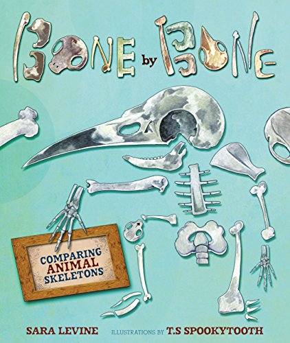 Bone By Bone: Comparing Animal Skeletons (Millbrook Picture Books)